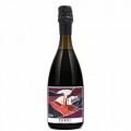 (Vitivinicola Fangareggi) Puro - Lambrusco Red Sparkling Emilia IGP